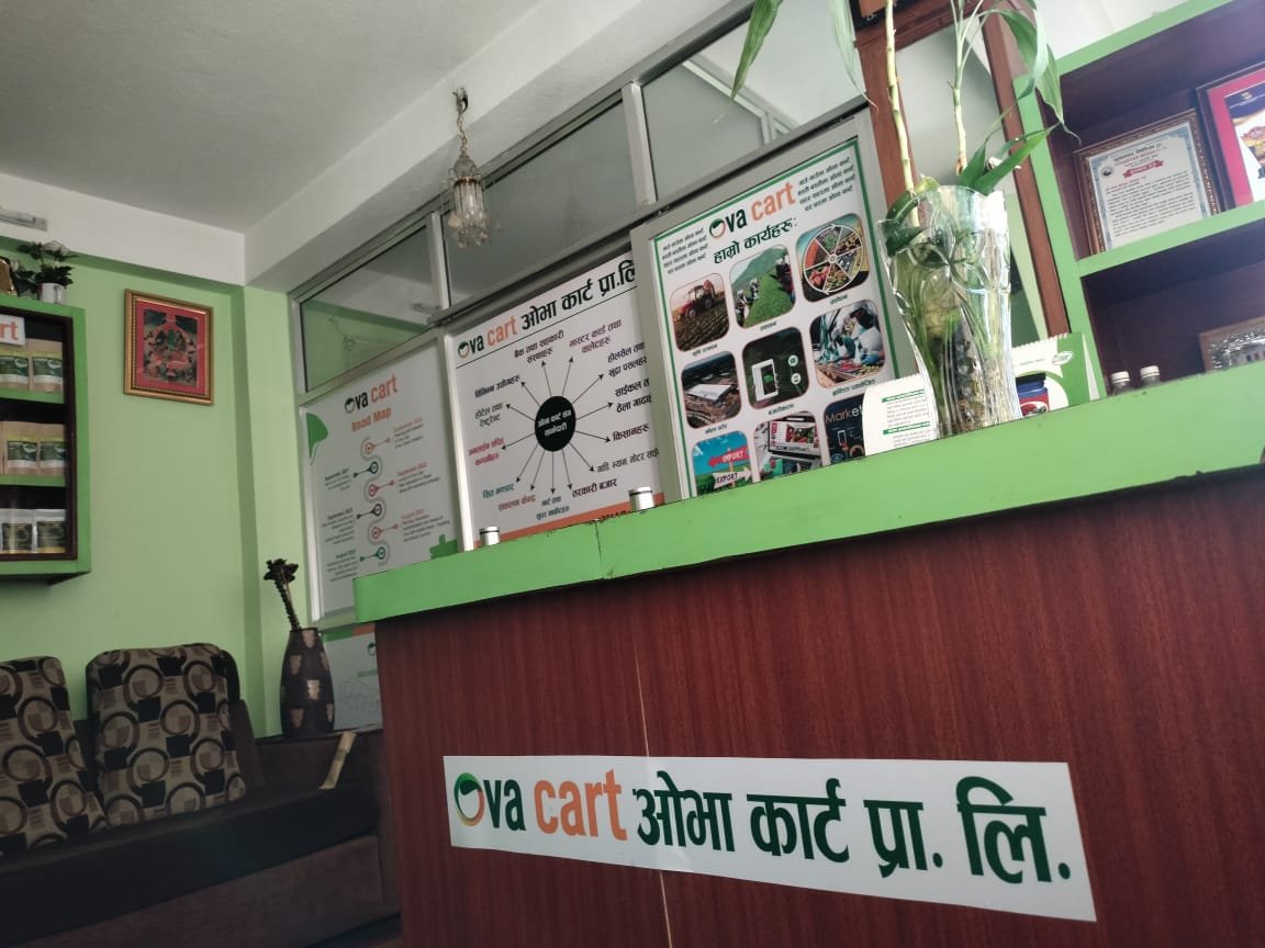 Happy customer shopping for organic products at Ova Cart